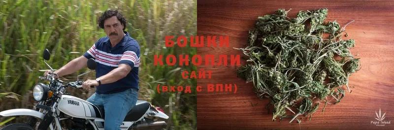 купить закладку  Городец  Бошки Шишки OG Kush 